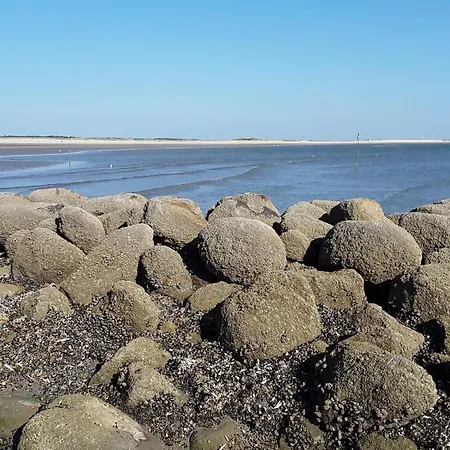 Spacious Retreat With View Blåvand
